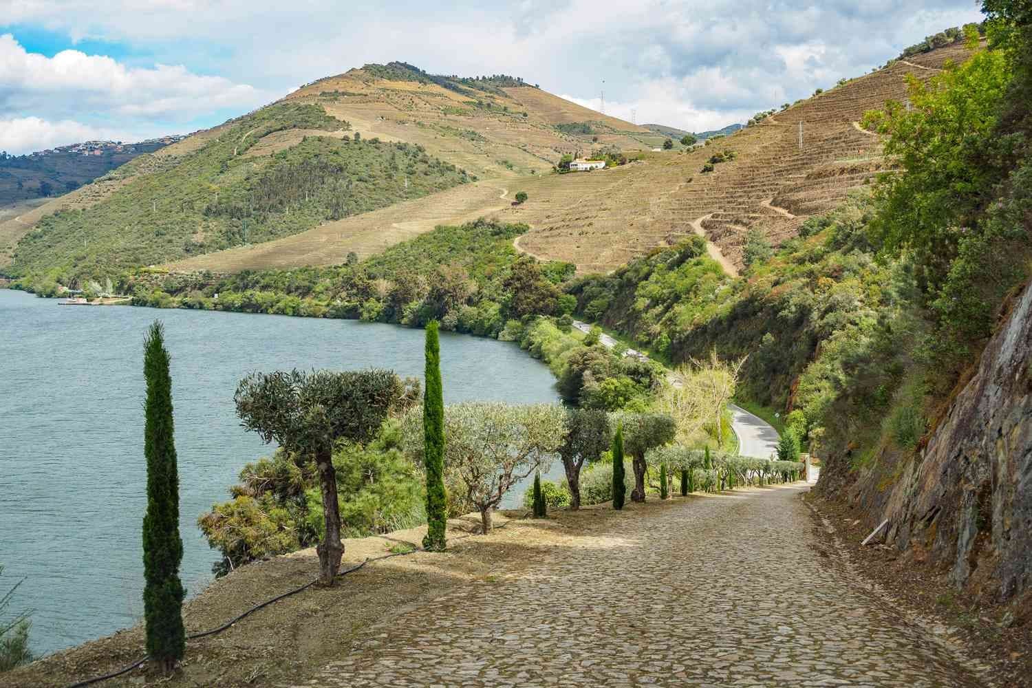 Wine tasting in the Douro Valley